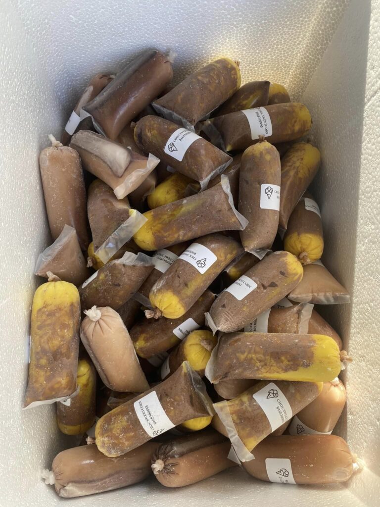 432774511_969690031212964_7191374902727909516_n