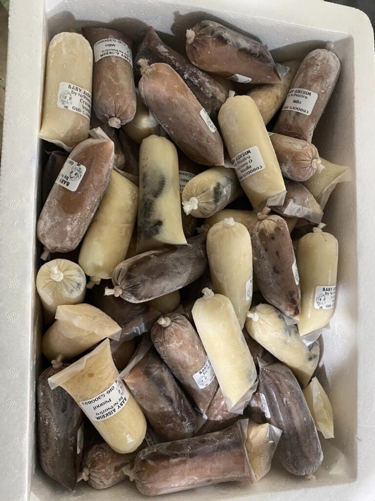 433002250_969690131212954_2171773827346939593_n